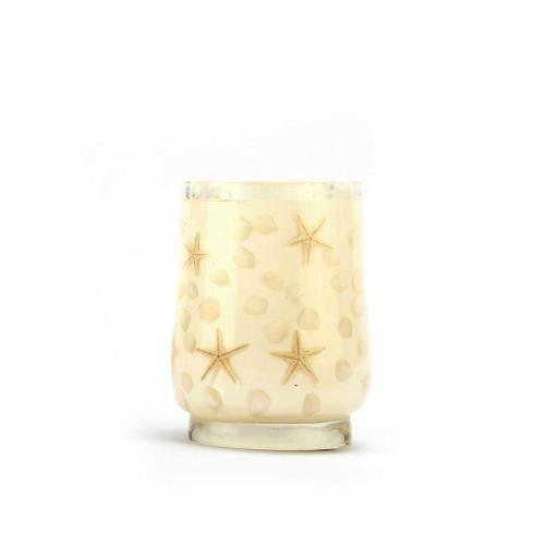 DİŞ FIRÇALIK DENİZ YILDIZI EL YAPIMI 400 GR 7X7X10CM BANYO SETİ