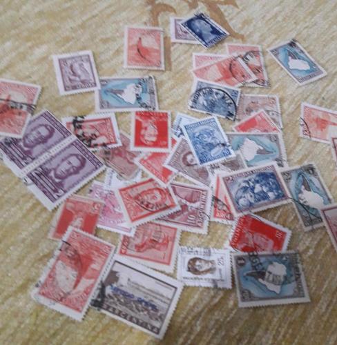 LOT.7 » 40 ADET ARJANTİNA