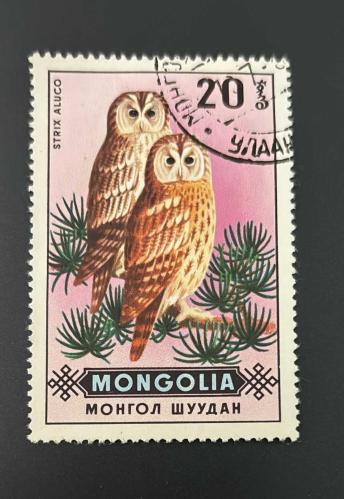 Moğolistan Pulu - Mongolia Stamp -  Postadan Geçmiş Pul Filateli - Damgalı - Alaca Baykuş Temalı Pul, 20 Para - Türkiye Cumhuriyeti - NOSTALJİK DOĞUM GÜNÜ HEDİYESİ