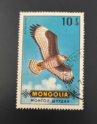 Moğolistan Pulu - Mongolia Stamp -  Postadan Geçmiş Pul Filateli - Damgalı - Bayağı Şahin Kuşu Temalı Pul, 10 Para - Türkiye Cumhuriyeti - NOSTALJİK DOĞUM GÜNÜ HEDİYESİ