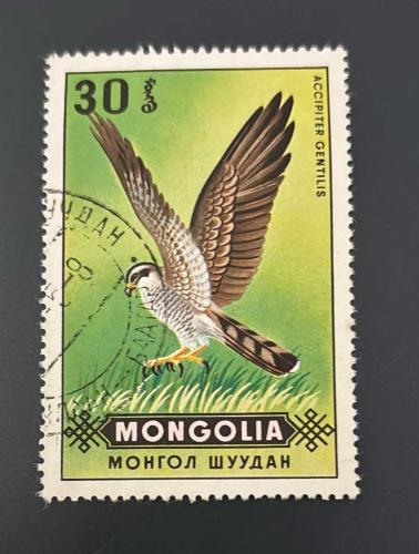 Moğolistan Pulu - Mongolia Stamp -  Postadan Geçmiş Pul Filateli - Damgalı - Çakırdoğan Kuşu Temalı Pul, 30 Para - Türkiye Cumhuriyeti - NOSTALJİK DOĞUM GÜNÜ HEDİYESİ