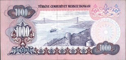 6.EMİSYON 1000 TÜRK LİRASI ÇİL