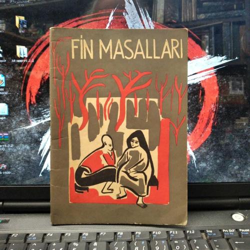 Fin Masalları
