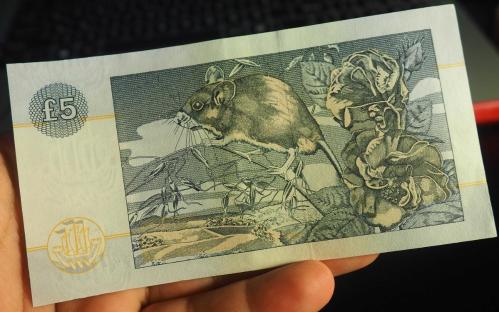 İSKOÇYA 5 POUND ÇA- (CLYDESDALE BANK)