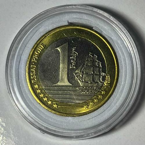 Türkiye Cumhuriyeti 2004 Türk Euro Hatıra Parası