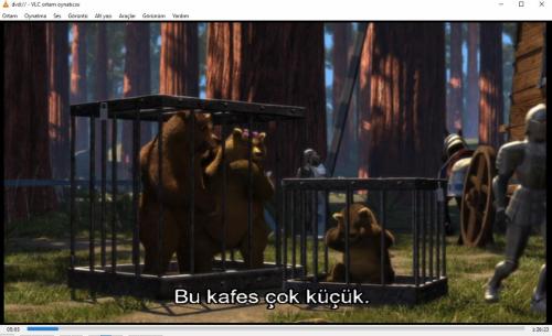 shrek dvd (PC'de denenmiştir/izlenmiştir)   (3 boyutlu gözlük)