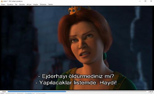 shrek dvd (PC'de denenmiştir/izlenmiştir)   (3 boyutlu gözlük)