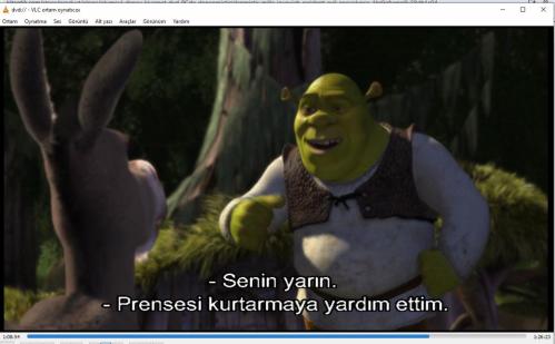 shrek dvd (PC'de denenmiştir/izlenmiştir)   (3 boyutlu gözlük)