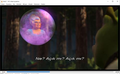 shrek 2 dvd   (PC'de denenmiştir/izlenmiştir)
