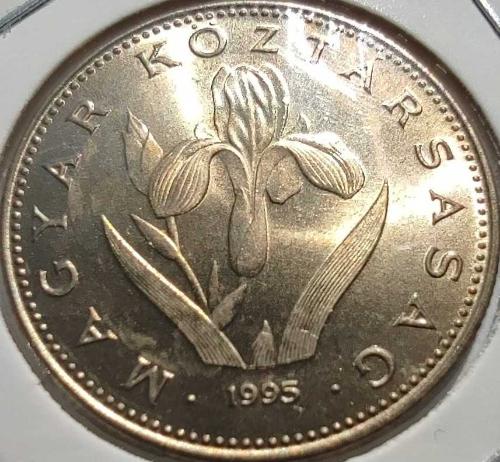Macaristan 20 Forint 1995 - Proof - Budapeşte Darphanesi Pirinç Kapamasında