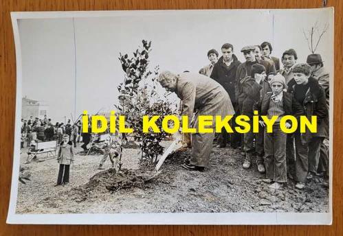 CHP İSTANBUL ESKİ BELEDİYE BAŞKANI ve SHP MİLLETVEKİLİ AYTEKİN KOTİL'İN ORİJİNAL FOTOĞRAFI - 18 x 12 cm EBADINDA - AYTEKİN KOTİL, AĞAÇ DİKME KAMPANYASI SÜRECİNDE İLK FİDEYİ DİKERKEN ÇEKİLMİŞ BİR KARE, 3 ŞUBAT 1978