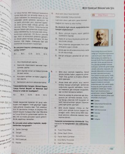 PALME YAYINEVİ, YKS AYT EDEBİYAT SORU KİTABI