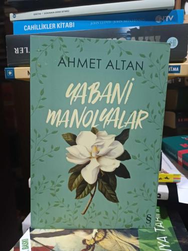 Yabani Manolyalar