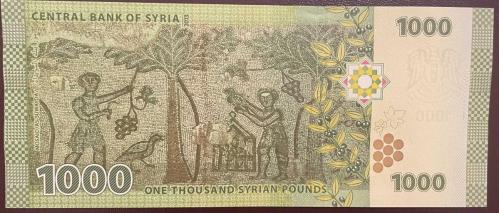 SURİYE 1 000 PAUND 2013 ÇİL PARA
