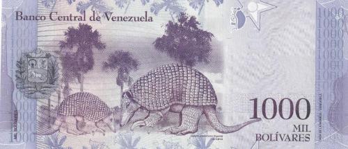 Koleksiyon Ürünü Venezüella 1000 Bolivar Çil