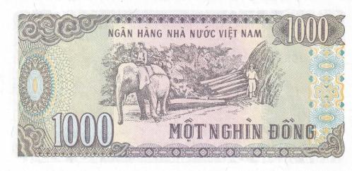 Koleksiyon Ürünü Vietnam 1000 Dong Çil