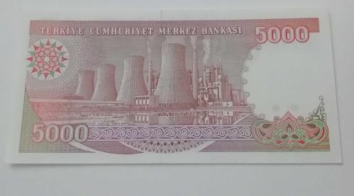 5.000 lira (7.Emisyon / 4.Tertip 1990) çil G79