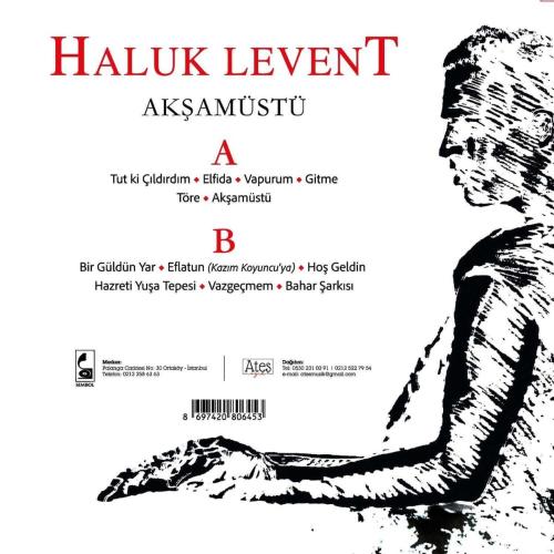 Akşamüstü (Plak) Haluk Levent