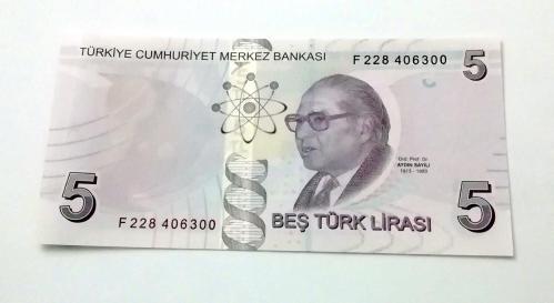 9.Emisyon 6.Tertip 5 Lira çil  F228 406300