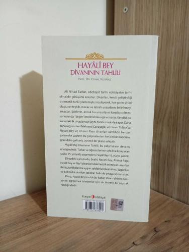 Hayali Bey Divanının Tahlili