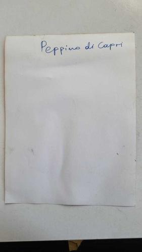 YUNANİSTAN'IN ATİNA KENTİNDE DÜZENLENEN 6. ULUSLARARASI APOLLONİA MÜZİK FESTİVALİ'NİN (1973) ORİJİNAL BÜYÜK BOY FOTOĞRAFI - 24 x 18 cm EBADINDA - FESTİVALE KATILAN EFSANEVİ İTALYAN ŞARKICI PEPPINO DI CAPRI (ROBERTA ve MELANCOLIE ADLI ÖLÜMSÜZ ŞARKILARIYLA BİLİNEN ve SEZEN CUMHUR ÖNAL'IN ARANJMAN YAPIP ''MELANKOLİ NE GÜZELSİN'' ADLI ŞARKIYI TÜRKÇE OKUTUP O VESİLEYLE DÖNEMİNDE ÜLKEMİZDE DE TANINIP SEVİLMİŞ OLAN DEĞERLİ BİR SANATÇI... ΠΡΩΤΌΤΥΠΗ ΦΩΤΟΓΡΑΦΊΑ ΤΟΥ ΔΙΕΘΝΟΎΣ ΜΟΥΣΙΚΟΎ ΦΕΣΤΙΒΆΛ ΑΠΟΛΛΏΝΙΑΣ ΠΟΥ ΠΡΑΓΜΑΤΟΠΟΙΉΘΗΚΕ ΣΤΗΝ ΑΘΉΝΑ (1973)