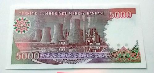 5.000 lira (7.Emisyon / 4.Tertip 1990) çil  I10