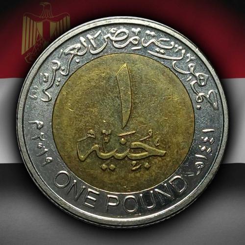 Mısır 2019 Yılı 1 Pound Dayanışma Bakanlığı 80. Yıl ÇİLALTI
