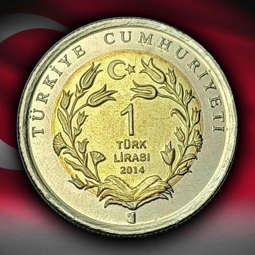 2014 YILI ÇİZGİLİ SIRTLAN DARPHANE HATIRA BİMETAL
