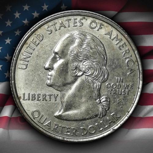 ABD 2005 YILI ¼ Dolar Minnesota ÇİLALTI