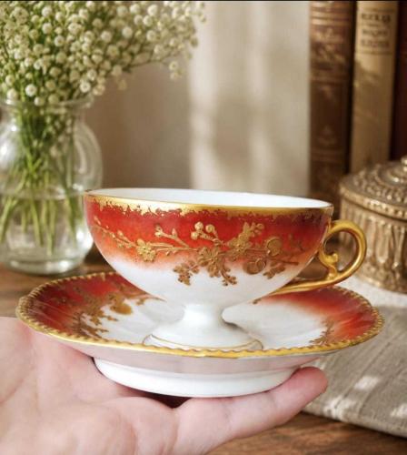 Limoges fincan