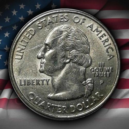 ABD 2003 YILI ¼ Dolar Illinois ÇİLALTI