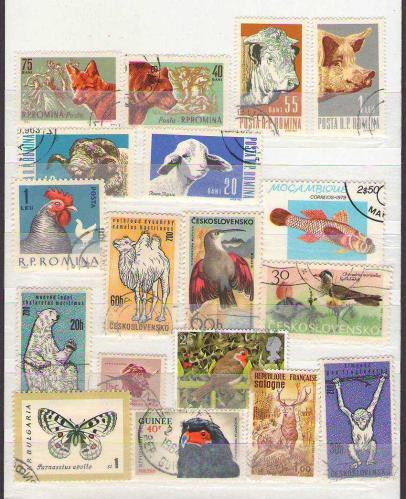 LOT.17 » Hayvanlar - Fauna Temalı Damgalı lot