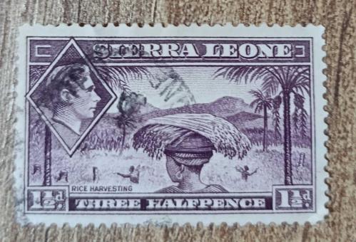 İngiliz Sömürgesi Sierra Leone_ damgalı pul