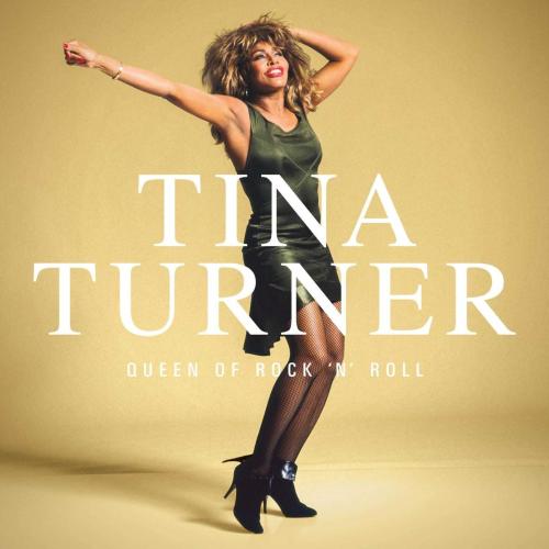 Queen Of Rock'n'Roll  Tina Turner LP PLAK SIFIR JELATİNLİ AMBALAJINDADIR