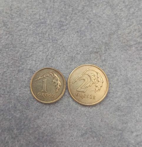2 ADET POLONYA MADENİ PARASI KOLEKSİYONLUK