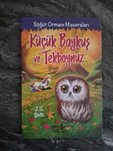 Küçük Baykuş ve Tekboynuz - Söğüt Ormanı Maceraları