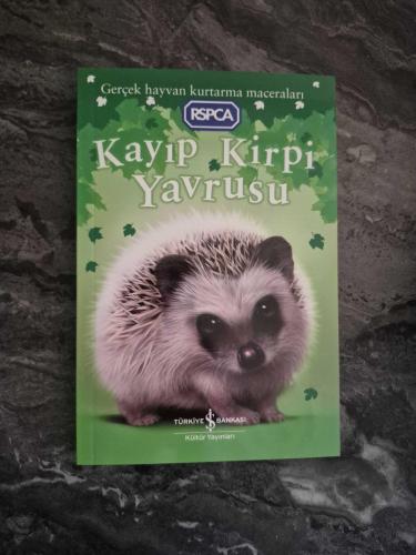 Kayıp Kirpi Yavrusu