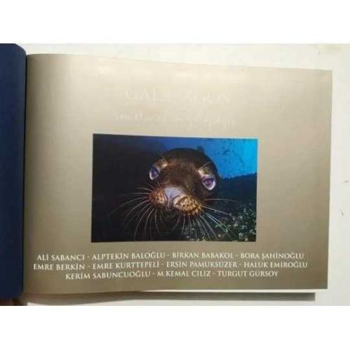Bir zamanlar Galapagos - Ali SABANCI / Kitap