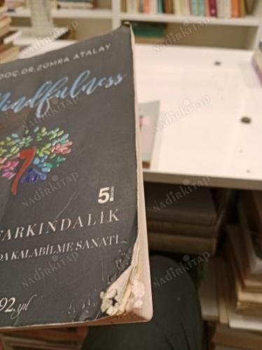 MINDFULNESS Bilinçli Farkındalık / Farkındalıkla Anda Kalabilme Sanatı