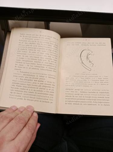 GÖĞÜS ve KARIN'ın Systematisel ve topografisel KISA ANATOMİA'SI * Birinci Kısım Kemikler,etler,yürek ve damarlar