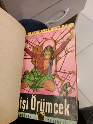 Dişi Örümcek