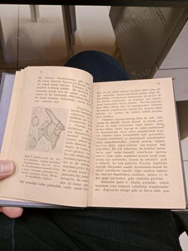 Nebatlar Dünyası / Bilgi Dünyası Koleksiyonu Dizisi