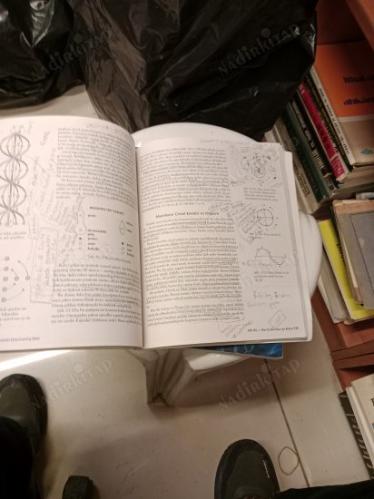 Yaşam Çiçeğinin Unutulmuş Sırrı 1 ve 2 ( 2 kitap set )
