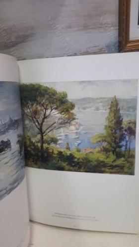 Ayhan Türker- Bir İstanbul İzlenimcisi/ A Contemporary Turkish İmpressionist