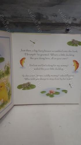 Springtime Tales: A Collection of Animal Stories