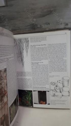 Growing Beautiful Houseplants : An Illustrated Guide to the Selection and Care of over 1,000 Varieties