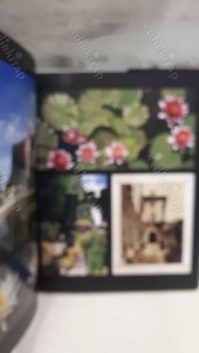 IL CASTELLO DI DUINO mille anni di storia