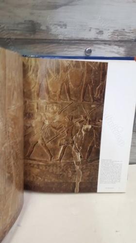 EGYPT THE WORLD OF THE PHARAOHS - MISIR FIRAVUNLARIN DÜNYASI (CİLTLİ BÜYÜK BOY)