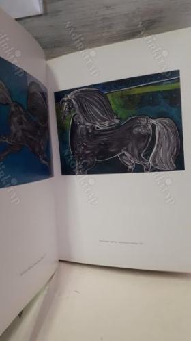SÜLEYMAN SAİM TEKCAN - 2013 MABEYN GALERİ / KİŞİSEL SERGİ KATALOĞU 