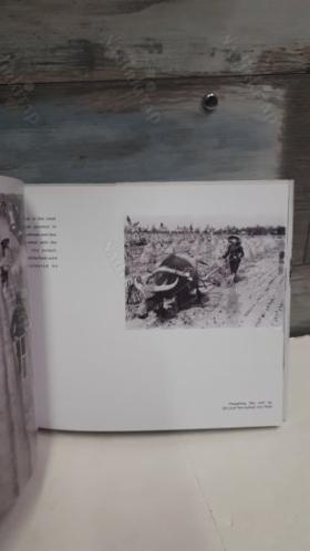 LIFE Behind the Front Line